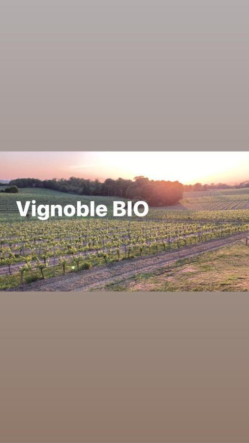 Gite Les Vignes Cravenceres Exterior foto